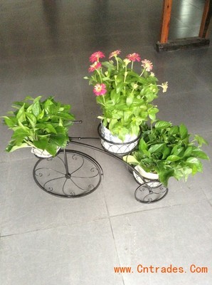 客家園藝 專業室內花木租擺，綠化植物租賃首選