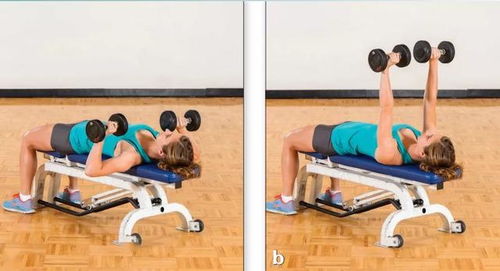 如何鍛煉出健碩胸肌 5個高效動作與腿部訓(xùn)練器的協(xié)同作用